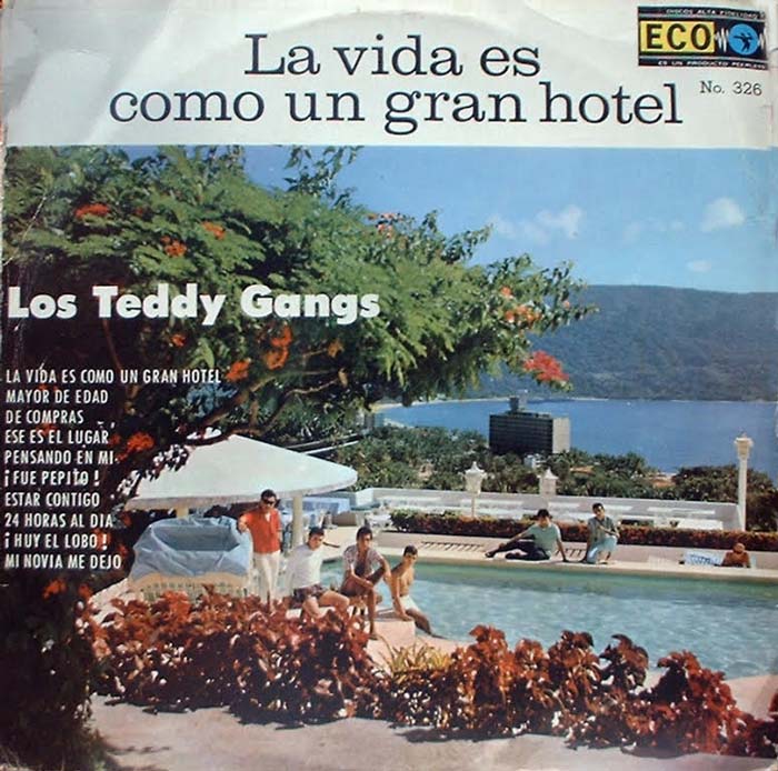 teddy-1