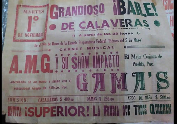 AMG cartel 2
